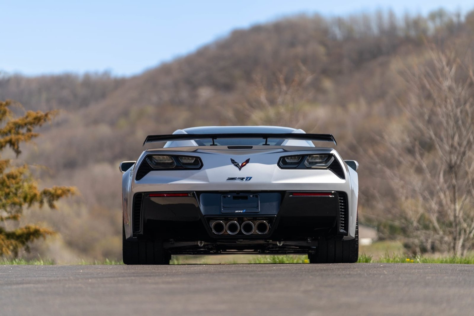 2019 Chevrolet Corvette ZR1 Coupe For Sale (28)