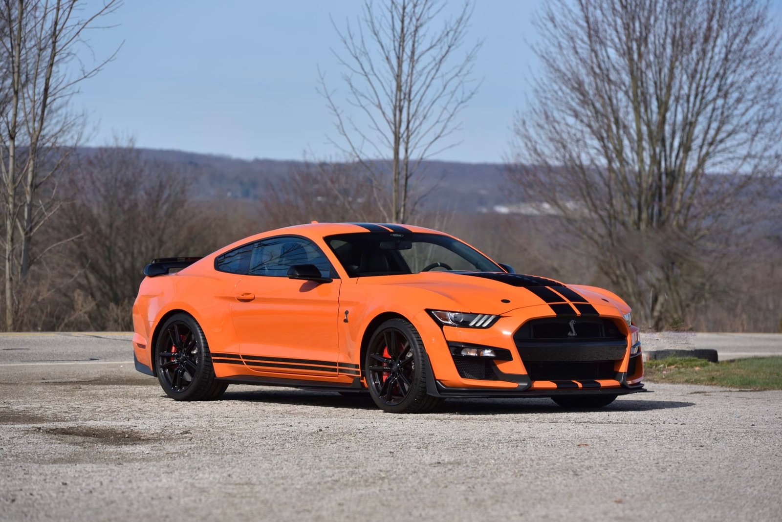 2021 Ford Shelby GT500 For Sale (3)