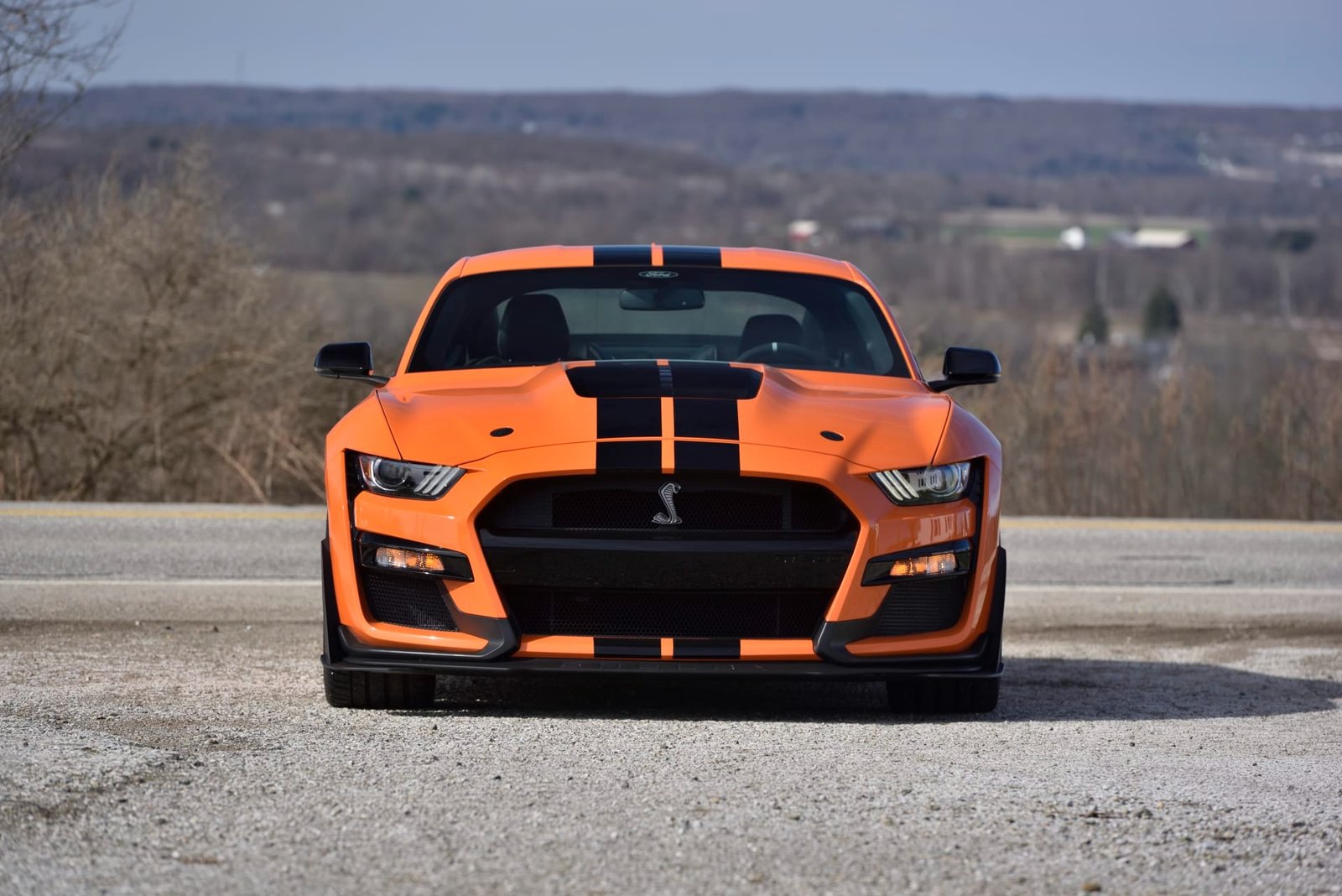 2021 Ford Shelby GT500 For Sale (5)