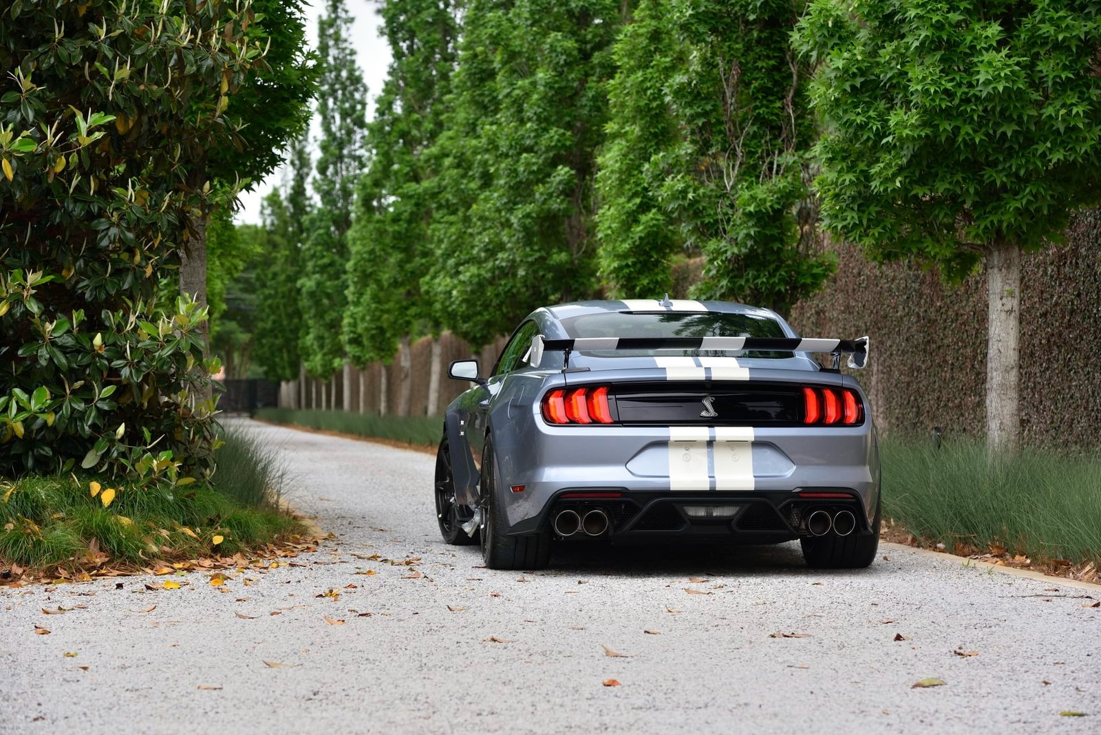 2022 Ford Shelby GT500 Heritage Edition (16)