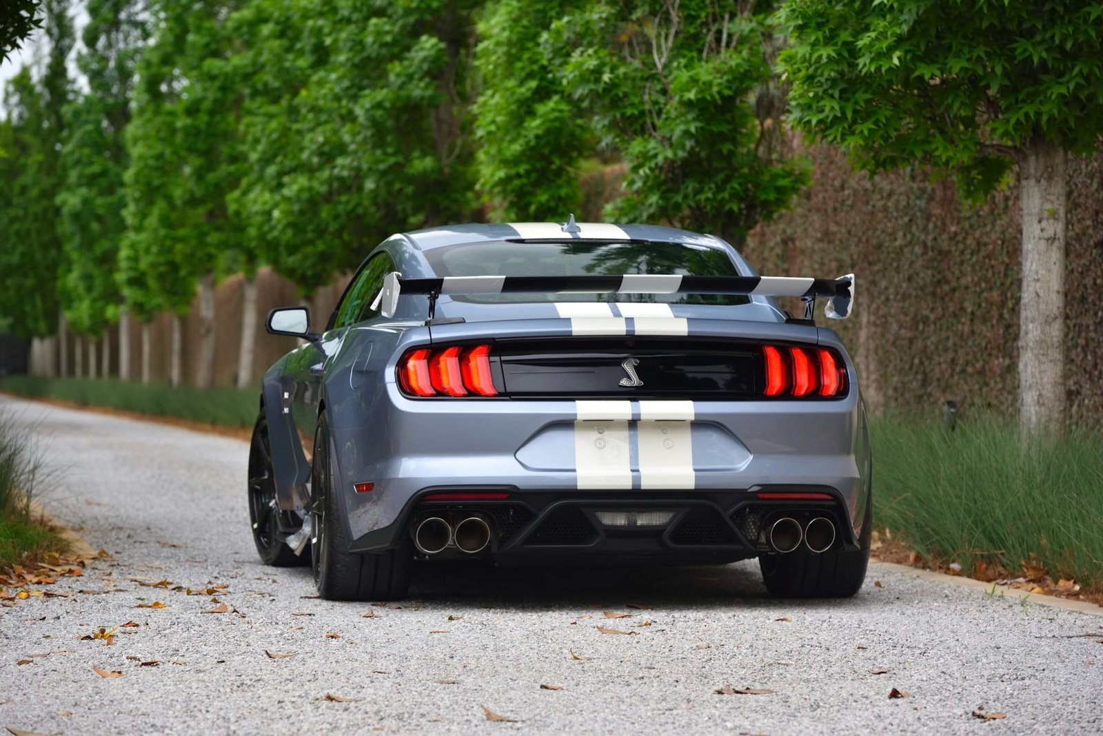 2022 Ford Shelby GT500 Heritage Edition (19)