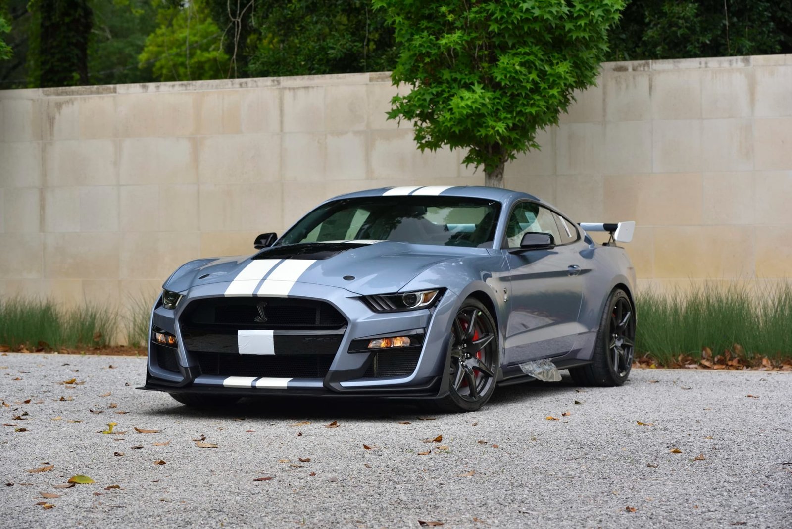 2022 Ford Shelby GT500 Heritage Edition (22)