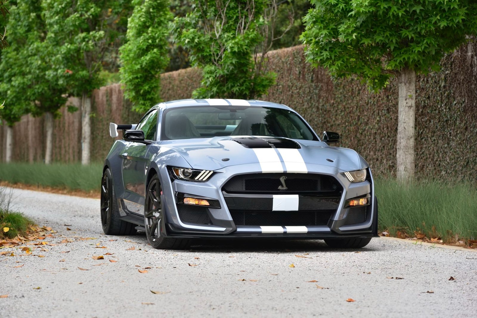 2022 Ford Shelby GT500 Heritage Edition (28)