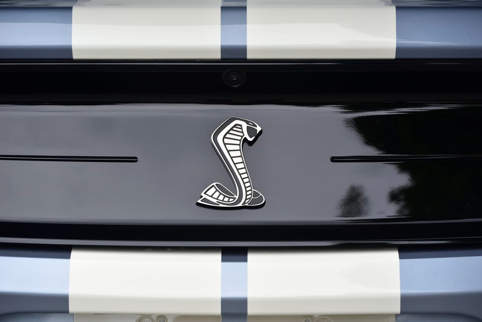 2022 Ford Shelby GT500 Heritage Edition (31)