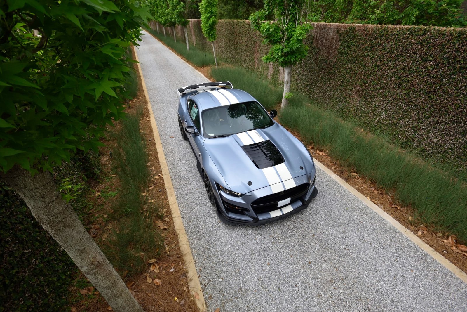 2022 Ford Shelby GT500 Heritage Edition (34)