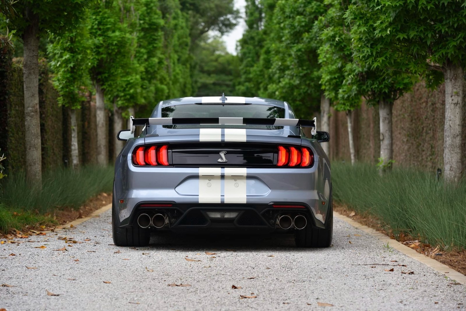2022 Ford Shelby GT500 Heritage Edition (35)
