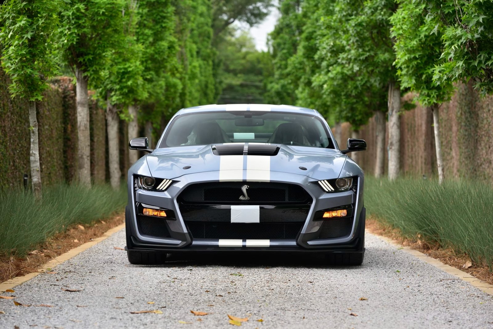 2022 Ford Shelby GT500 Heritage Edition (36)