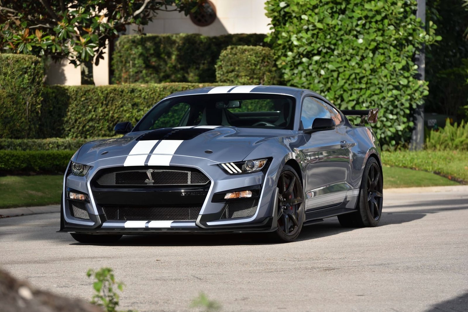 2022 Ford Shelby GT500 Heritage Edition For Sale (19)