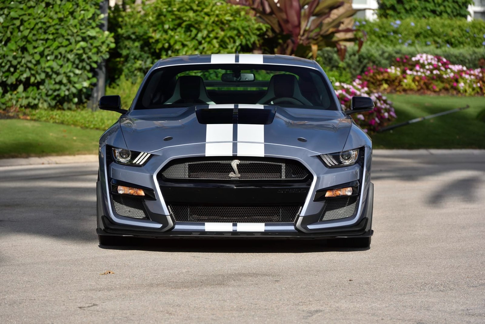 2022 Ford Shelby GT500 Heritage Edition For Sale (35)