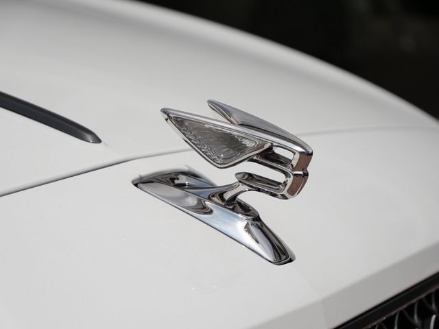 Buy New 2024 Bentley Flying Spur Speed (18)