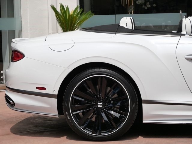 Buy New 2024 Bentley GTC Speed (6)